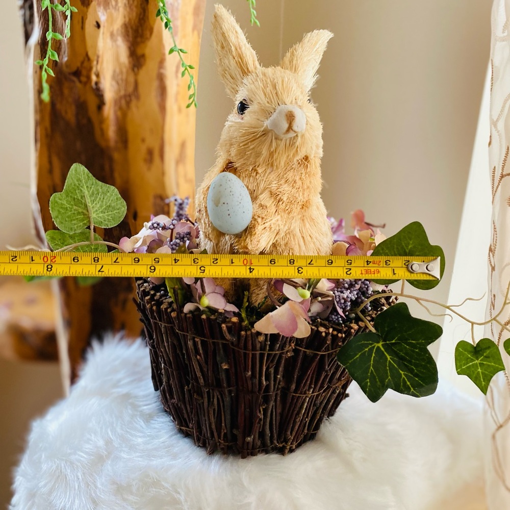 Bunny - Picture 4 of 7